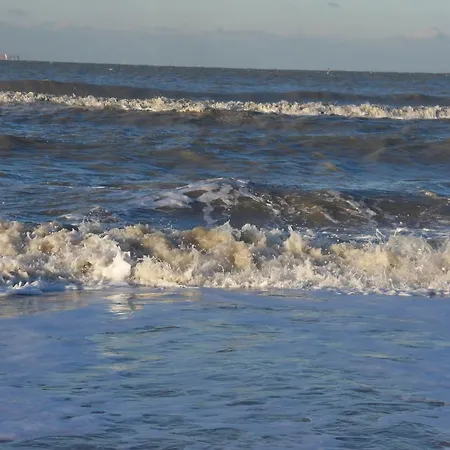 't Valkennestje De Haan